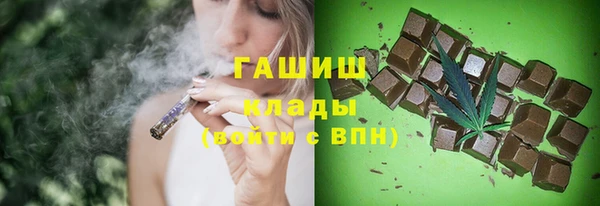 гидра Горно-Алтайск