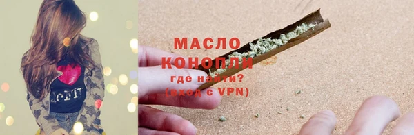 гидра Горно-Алтайск