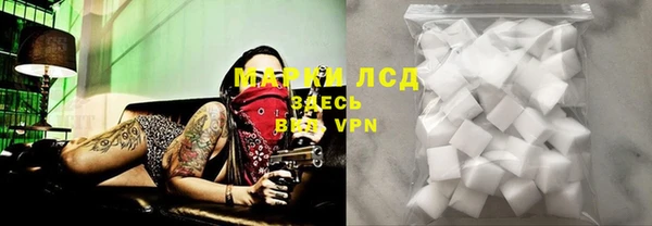 бошки Горнозаводск