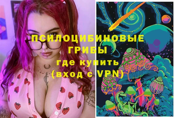бошки Горнозаводск