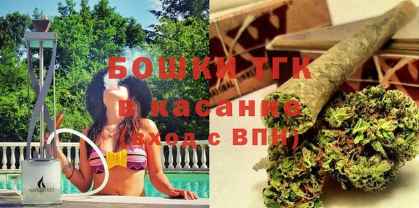 гидра Горно-Алтайск