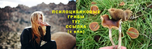 гидра Горно-Алтайск