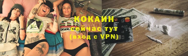 гидра Горно-Алтайск